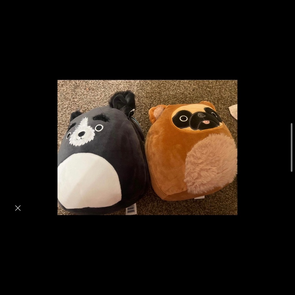 Dally and Paulie squishmallows